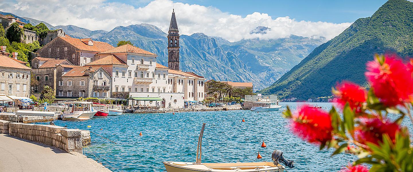Kotor